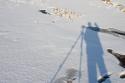 20060112.jpg