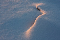 20080227.jpg